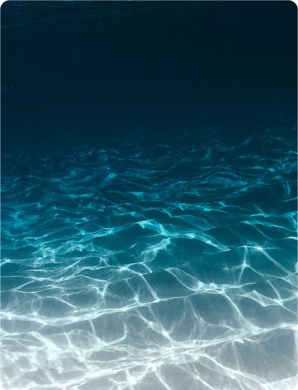 Blue Economy